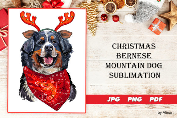 Christmas Bernese Dog Sublimation Review
